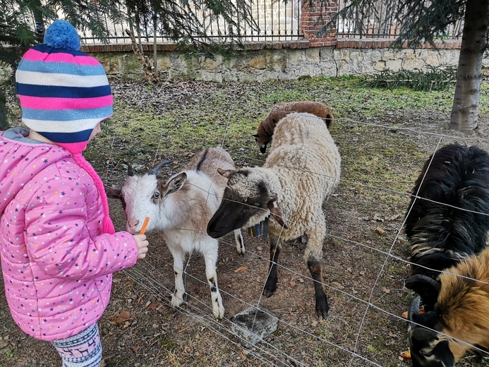Szopka i kiermasz w Dębnie