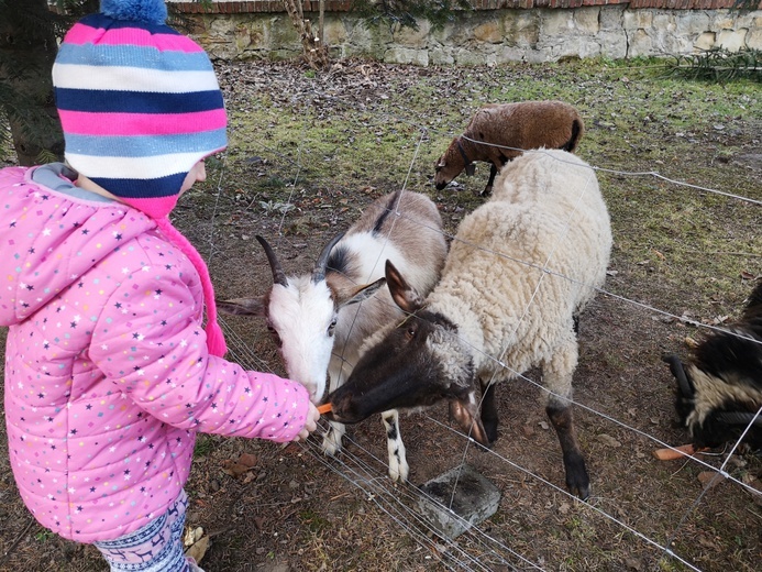 Szopka i kiermasz w Dębnie