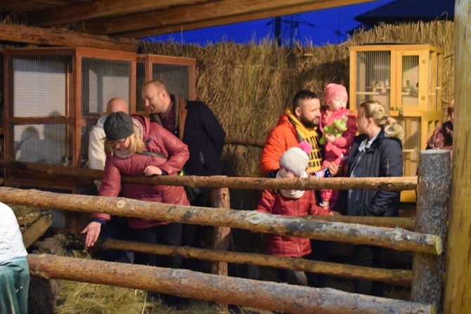 Żywa Szopka w Sandomierzu