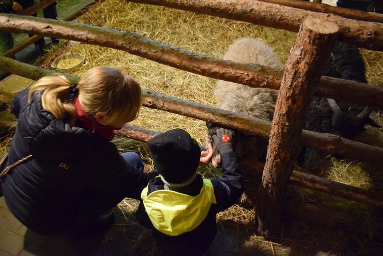Żywa Szopka w Sandomierzu