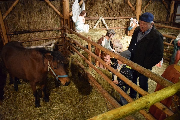 Żywa Szopka w Sandomierzu