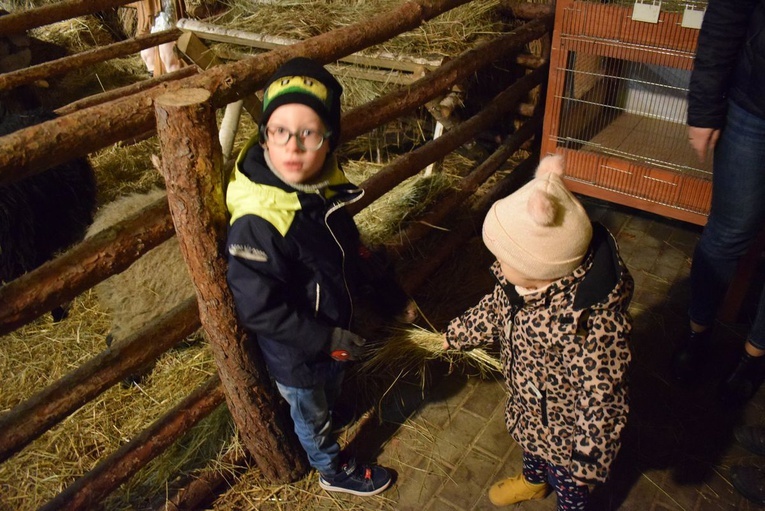 Żywa Szopka w Sandomierzu