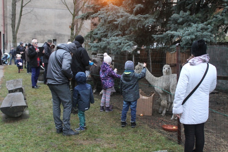 Żywa szopka u św. Jana 