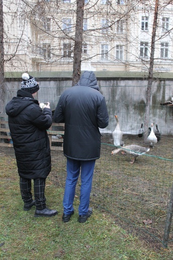 Żywa szopka u św. Jana 