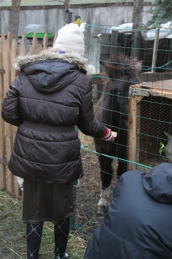 Żywa szopka u św. Jana 