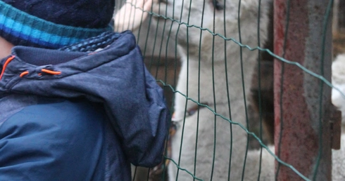 Żywa szopka u św. Jana 