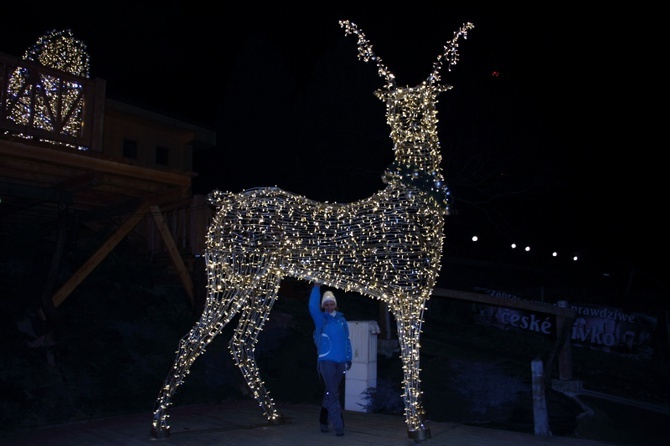 Kraina Światła na Gubałówce 2019