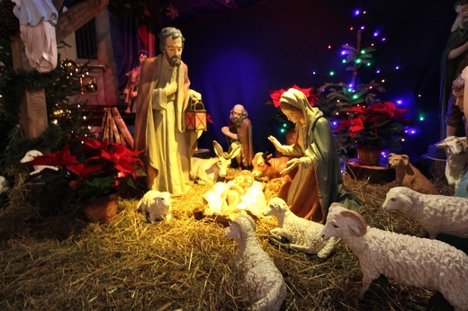 Konkurs #niezłaszopka