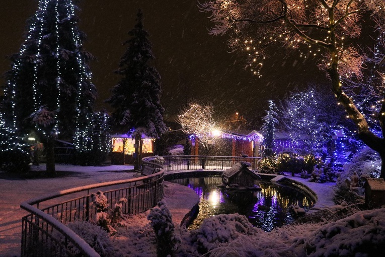 Żywa szopka u Karoliny 
