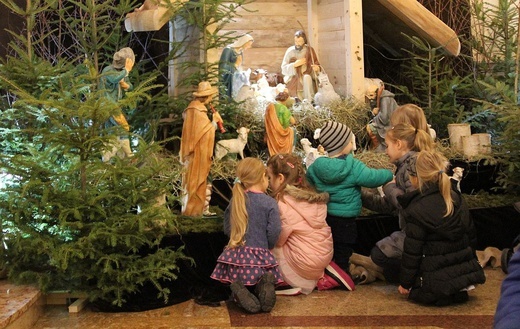 ​6. Diecezjalny Dzień Rodzin w bazylice hałcnowskiej - 2019