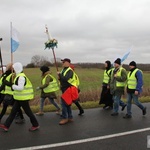 Pielgrzymka w pierwszą sobotę miesiąca do Rokitna