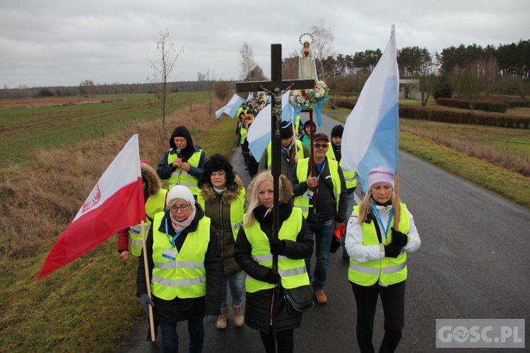 Pielgrzymka w pierwszą sobotę miesiąca do Rokitna