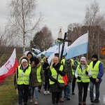 Pielgrzymka w pierwszą sobotę miesiąca do Rokitna