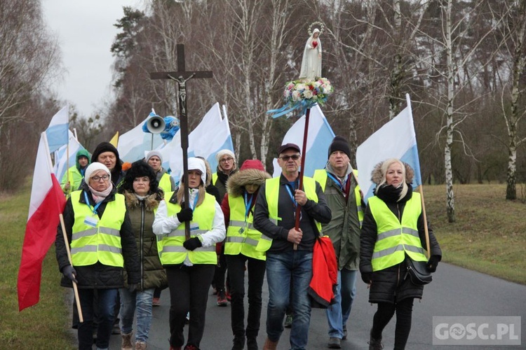 Pielgrzymka w pierwszą sobotę miesiąca do Rokitna