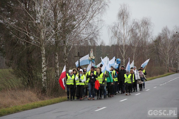 Pielgrzymka w pierwszą sobotę miesiąca do Rokitna