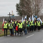 Pielgrzymka w pierwszą sobotę miesiąca do Rokitna