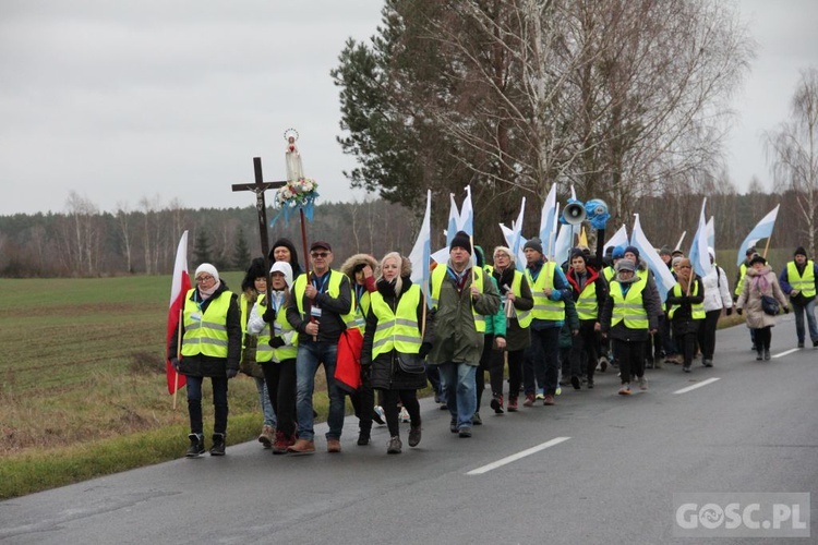 Pielgrzymka w pierwszą sobotę miesiąca do Rokitna