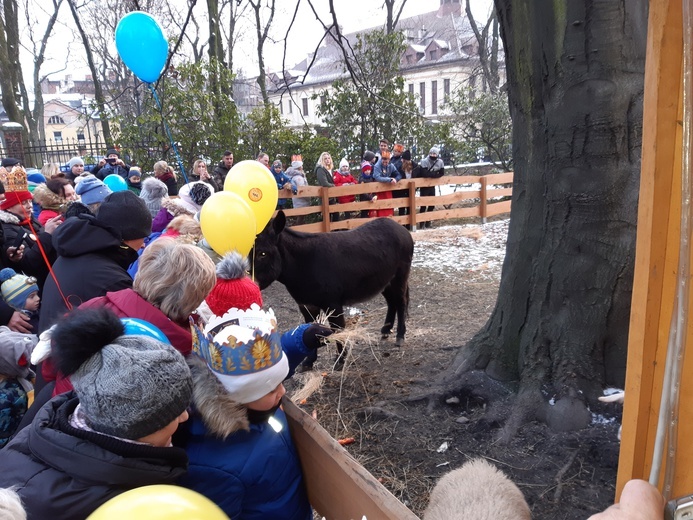 Orszak Trzech Króli w Zabrzu