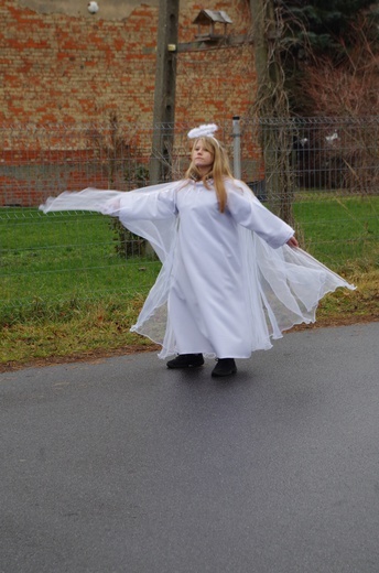 Orszak Trzech Króli 2020 - Mrozów