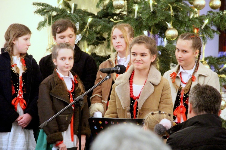 Dębica-Latoszyn. Czaple, kaczka pstra i największy Gazda