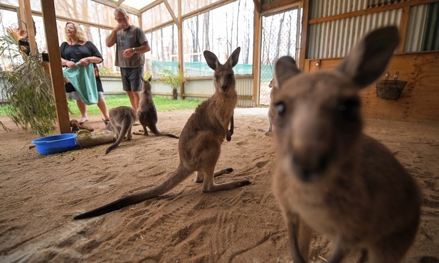 Biskupi australijscy popierają projekt ustawy o zmianach klimatycznych