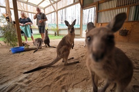 Biskupi australijscy popierają projekt ustawy o zmianach klimatycznych