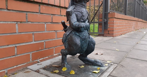 Szlakiem królików