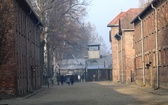 75. rocznica wyzwolenia KL Auschwitz-Birkenau - 2020