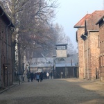 75. rocznica wyzwolenia KL Auschwitz-Birkenau - 2020