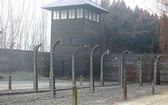 75. rocznica wyzwolenia KL Auschwitz-Birkenau - 2020