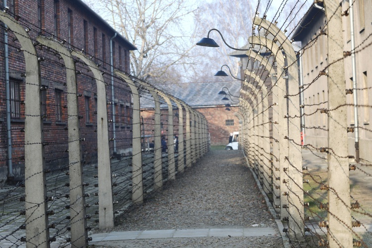 75. rocznica wyzwolenia KL Auschwitz-Birkenau - 2020