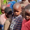Awokado zaowocuje. Udana akcja Caritas "Drzewo życia dla Rwandy"