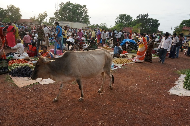 Hanna Grzybowska w Jeevodaya 