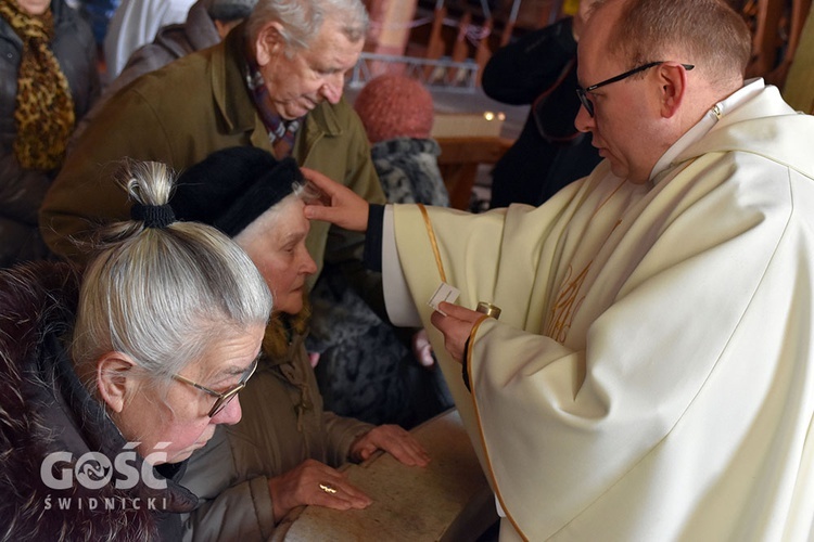 Światowy Dzień Chorych w Świdnicy