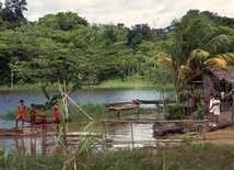 W Amazonii