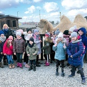 W Industrialnej Zagrodzie ochotników do głaskania wielbłądów nie brakowało.