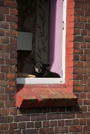 Zabytkowe osiedle familoków w Czerwionce