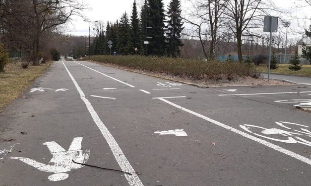 Chorzów. Park Śląski ma nowego prezesa i plany inwestycyjne