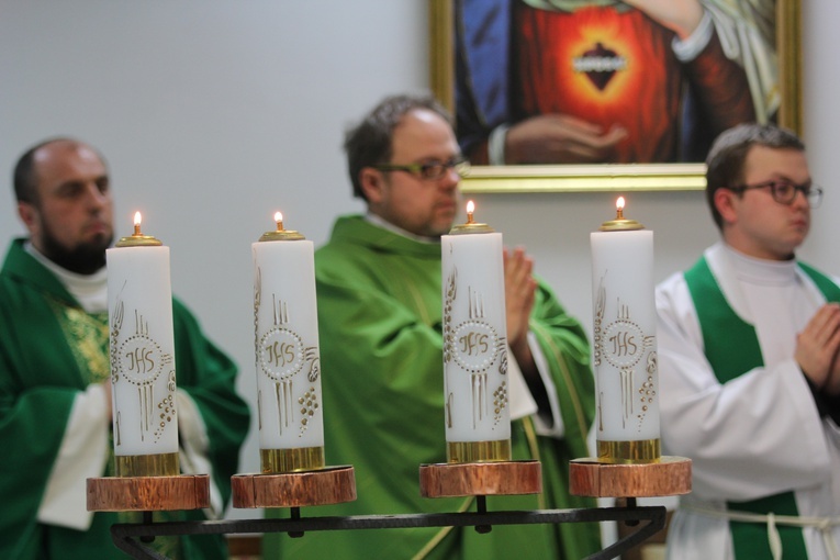 XVII Bezalkoholowy Bal Karnawałowy w Skierniewicach