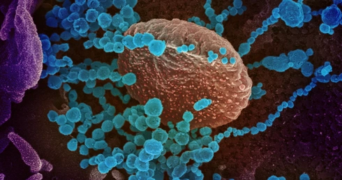 WHO: Nadeszła decydująca chwila w epidemii koronawirusa