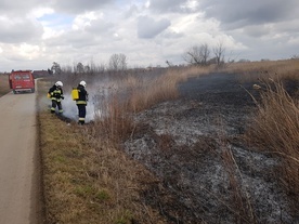 Strażacy apelują. Nie wypalajmy traw!