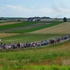 Dziewiętnastka idzie na Jasną Górę. Pielgrzymi już pokonali ponad 82 km