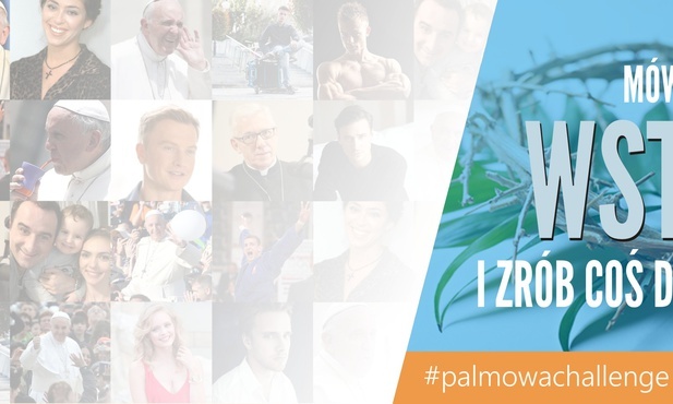 Ruszył #palmowachallenge dla młodych archidiecezji katowickiej!