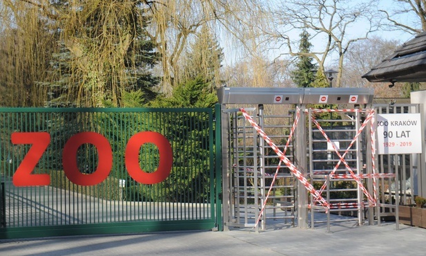 Kraków. Zoo w czasie epidemii