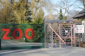 Kraków. Zoo w czasie epidemii