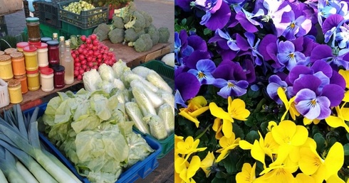 U lokalnych dostawców można zamówić zarówno warzywa, owoce, wędliny, jaja, miód, jak i kwiaty, palmy czy ozdoby świąteczne.