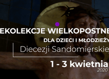 Diecezjalne rekolekcje on-line dla dzieci i młodzieży