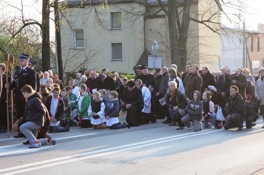 Tak było w 2014 roku - Miejska Droga Krzyżowa w Bielsku-Białej Leszczyny - Złote Łany