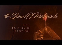 Pan nas obroni, tak jak pasterz owce