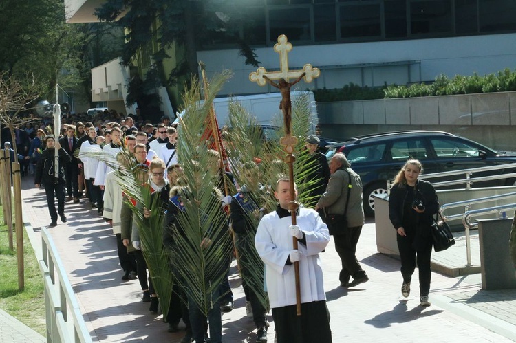 Niedziela Palmowa 2019